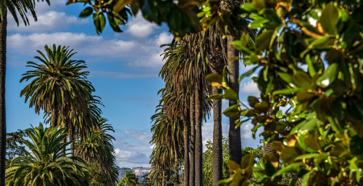 Luxury Hollywood Photo (3)