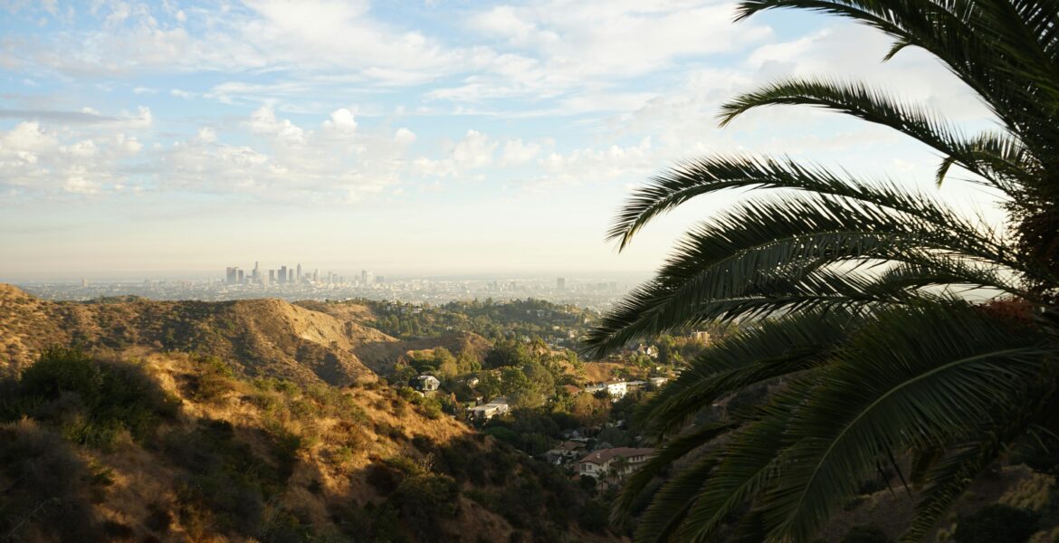 Luxury Hollywood Photo (4)